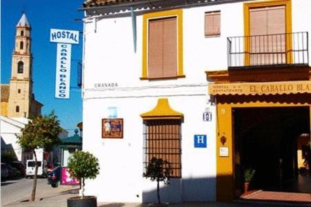Hostal El Caballo Blanco Осуна Экстерьер фото